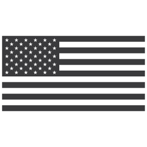 USA Flag Icon